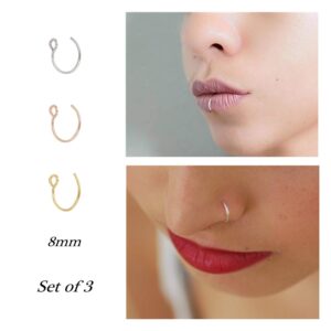 NZDLM Fake Nose Ring Hoop Nose Rings Set Nose Piercing Lip Nose Rings Jewelry for Women Men Girl Gold,Rose Gold,Silver