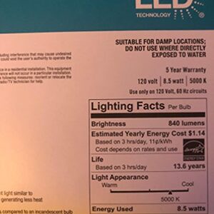 EcoSmart 60-Watt Equivalent A19 Energy Star Non-Dimmable LED Light Bulb, Daylight (8-Pack)