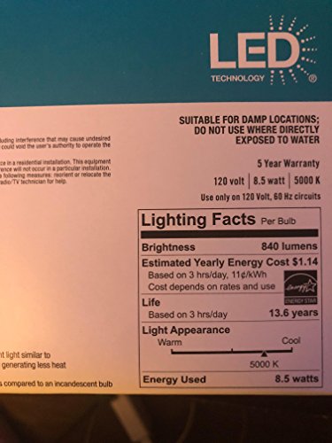 EcoSmart 60-Watt Equivalent A19 Energy Star Non-Dimmable LED Light Bulb, Daylight (8-Pack)