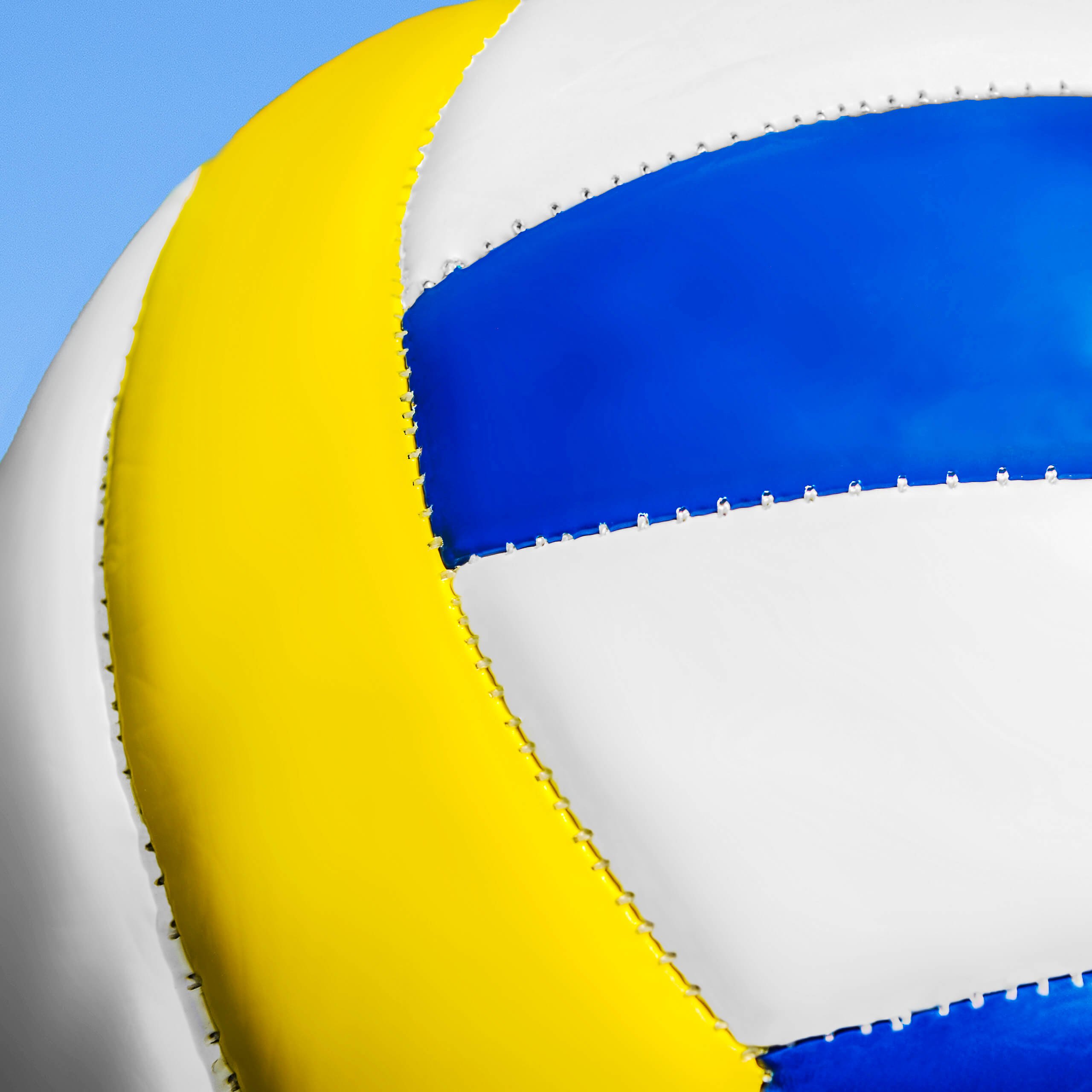 FORZA Volleyballs - Competition & Training Volleyball - FIVB Standard Volleyball - [Net World Sports] (Training)