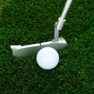 Putter Set Kit, Portable Putting Cup with 2 Balls and PVC Bag for Indoor/Outdoor