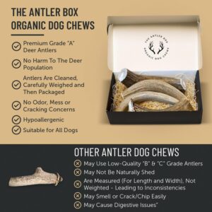 The Antler Box Premium Deer Antler Dog Chews (1 lb Bulk Pack) (Large (3 to 4 Antlers/lb))