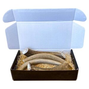 The Antler Box Premium Deer Antler Dog Chews (1 lb Bulk Pack) (Large (3 to 4 Antlers/lb))