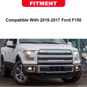 G-PLUS Front Bumper Lower Grill Grille Trim Panel Compatible With Ford F150 2015-2017 FL3Z-17E810-CA