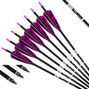 pg1archery 31-inch carbon arrows target practice hunting arrow with 4" shield fletching spine 500 arrows for recurve bow longbow compound bow pruple (pack of 6)