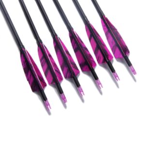 PG1ARCHERY 31-Inch Carbon Arrows Target Practice Hunting Arrow with 4" Shield Fletching spine 500 Arrows for Recurve Bow LongBow Compound Bow Pruple (Pack of 6)