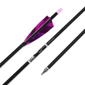 PG1ARCHERY 31-Inch Carbon Arrows Target Practice Hunting Arrow with 4" Shield Fletching spine 500 Arrows for Recurve Bow LongBow Compound Bow Pruple (Pack of 6)