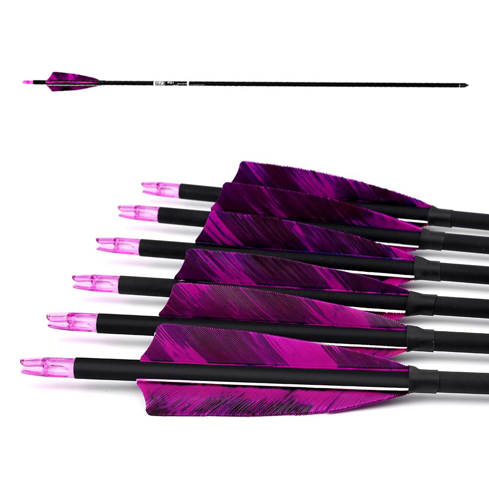 PG1ARCHERY 31-Inch Carbon Arrows Target Practice Hunting Arrow with 4" Shield Fletching spine 500 Arrows for Recurve Bow LongBow Compound Bow Pruple (Pack of 6)