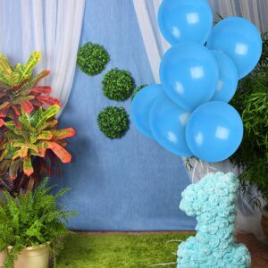 Treasures Gifted Light Blue Balloons - Baby Blue Balloons - Pastel Blue Balloons - Dusty Blue Balloons - Latex Sky Blue Balloons - Steel Blue Balloons - Robins Egg Blue Balloons - Blue Balloons 100 Pc