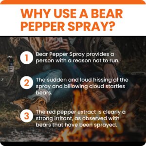 UDAP Pepper Power Bear Spray Self Defense Deterrent with Griz Guard Holster for Camping, Hiking, Fishing, Powerful Blast Pattern, 30 ft Fog Barrier, 12DCH, 9.2 oz, 2 Pack