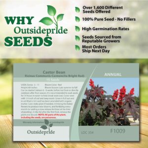 Outsidepride 15 Seeds Annual Ricinus Communis Castor Bean Bright Red Flower Seeds for Planting