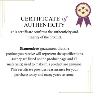 Diamondere Natural and Certified Diamond Miracle Illusion Petite Necklace in 10k White Gold | 0.04 Carat Round Diamond Pendant with Chain