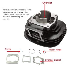 BLACKHORSE-RACING Cylinder Carburetor Piston Gasket Top End Kit Set Rebuild Kit Compatible with Yamaha Blaster 200 YFS200 1988-2006, Replaces# 2XJ-11311-02-00 5VM-14101-00-00