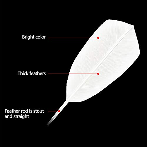 KEVENZ Goose Feather Badminton Shuttlecocks with Great Stability and Durability, High Speed Badminton Birdies,Pack of 12, White