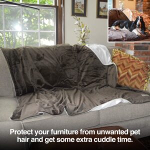 PetFusion Premium Dog Blanket, Cat Blanket | Ultra Soft Pet Blanket Available in Plush or Quilted, 2 Colors (Grey, Brown) | Perfect Blanket for Small Dogs & Large Dogs. 12 Month Warranty