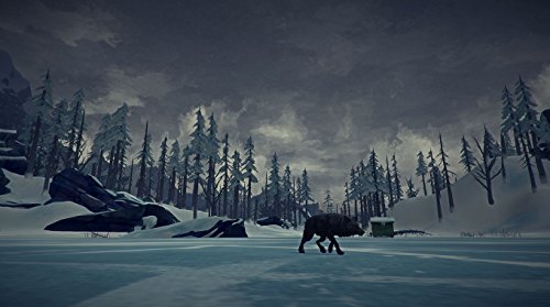 The Long Dark - Xbox One