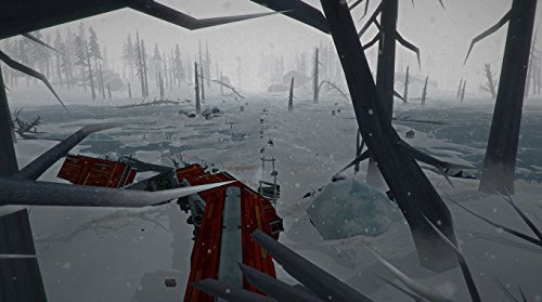 The Long Dark - PlayStation 4