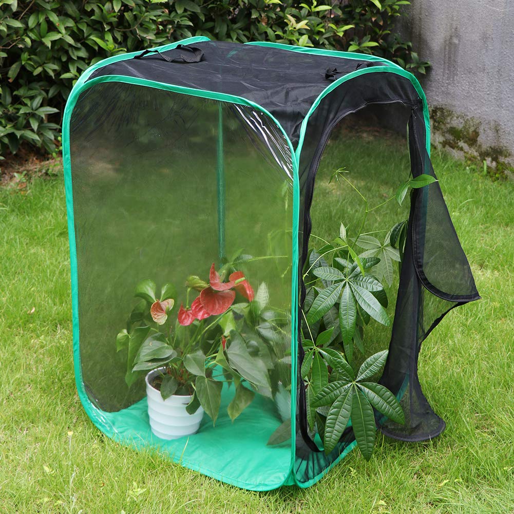 RESTCLOUD 36" Large Monarch Butterfly Habitat, Giant Collapsible Insect Mesh Cage Terrarium Pop-up 24 x 24 x 36 Inches