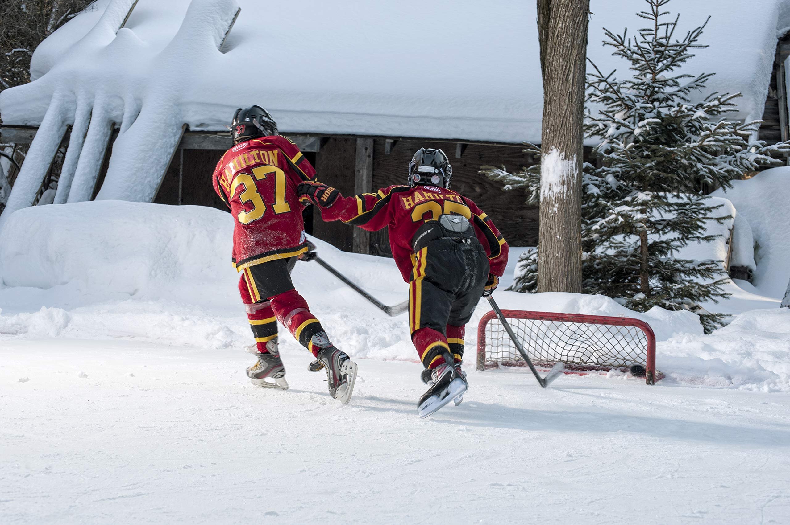 Outdoor Hockey Net for Pond or Backyard Sports