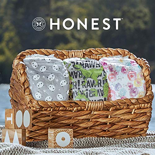 The Honest Company Diapers - Newborn, Size 0 - Pandas Print | TrueAbsorb Technology | Plant-Derived Materials | Hypoallergenic | (pack of 4)