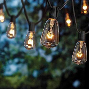 abeja st38 10ft string lights with 10 clear vintage light bulbs(1 spare), e12 scoket base, ul listed for outdoor indoor party porch patio decor, black