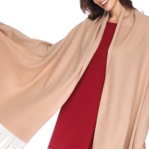 HOYAYO Pashmina Shawls and Wraps Winter Warm Soft Scarf for Women