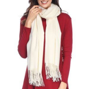 HOYAYO Pashmina Shawls and Wraps Winter Warm Soft Scarf for Women