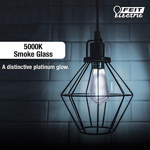 Feit Electric Vintage Exposed Filament Smoke Glass LED ST19 with a Medium E26 Base Light Bulb - 25W Equivalent - 10 Year Life - 200 Lumen - 5000K Dayllight - Dimmable | Original Vintage