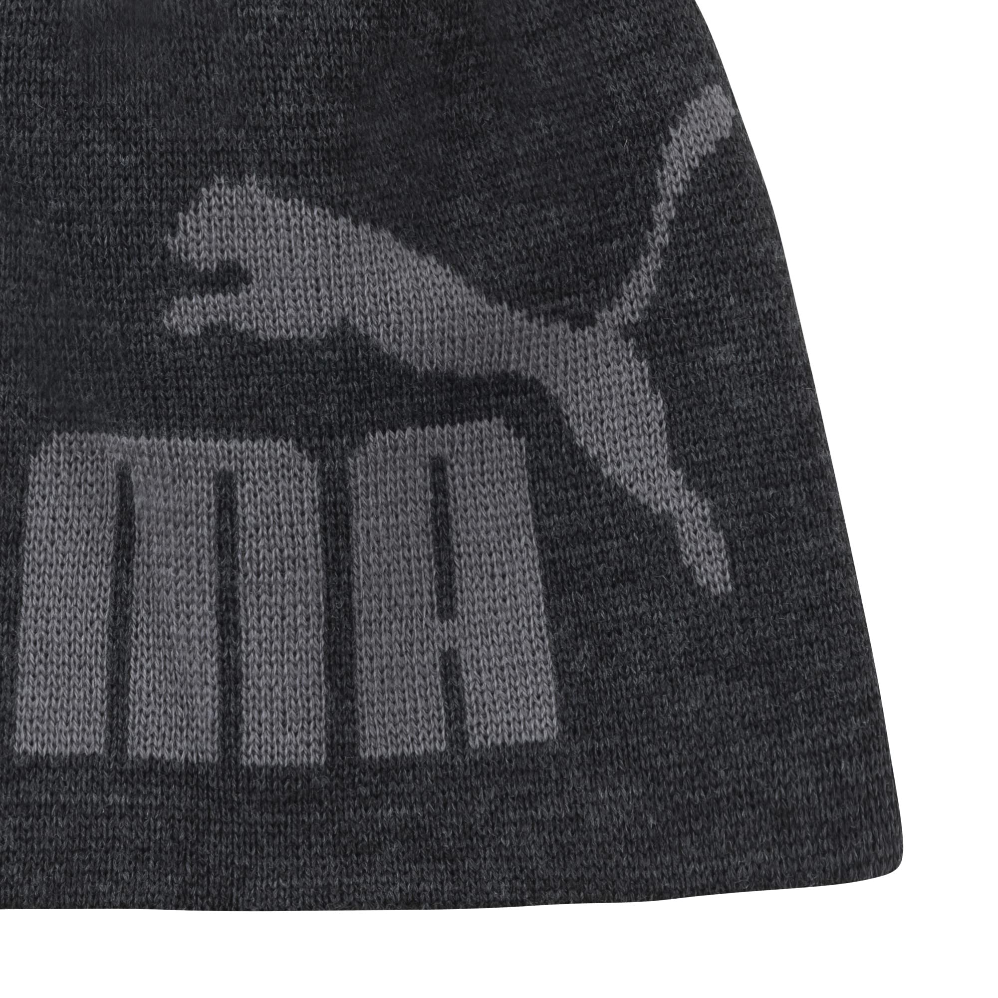 PUMA unisex adult Evercat Logo Beanie Hat, Gray/Black, One Size US