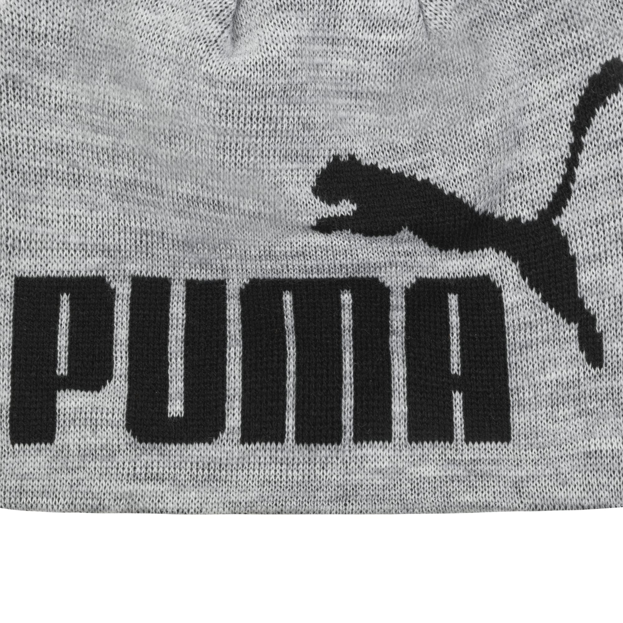 PUMA unisex adult Evercat Logo Beanie Hat, Gray/Black, One Size US