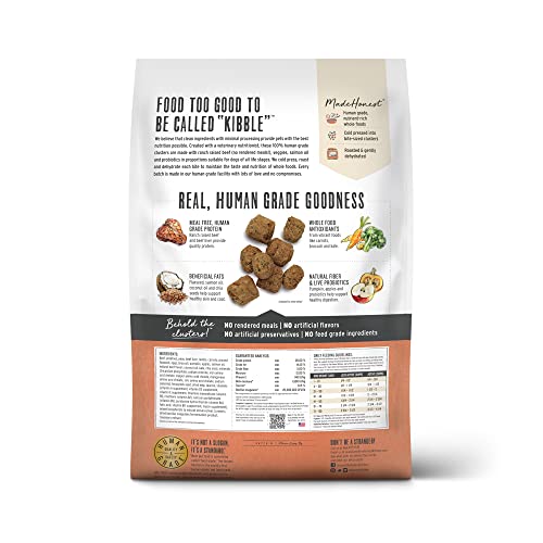 The Honest Kitchen Whole Food Clusters Grain Free Beef Dry Dog Food, 20 lb Bag