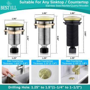 BESTILL Sink Top Garbage Disposal Air Switch Kit with Dual Outlet - UL Listed, Brushed Gold Long Push Button with Brass Cover