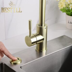 BESTILL Sink Top Garbage Disposal Air Switch Kit with Dual Outlet - UL Listed, Brushed Gold Long Push Button with Brass Cover