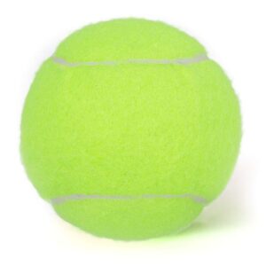 ChalkTalkSPORTS Personalized Printed Tennis Ball | Team Name and Year