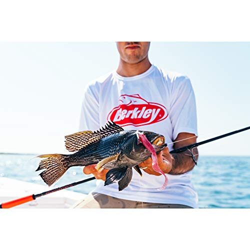 Berkley 6’6” Shock Casting Rod, 1 Piece Composite Medium Heavy Power Fishing Rod for Freshwater or Saltwater Fishing, Shock Absorbing Tip, Orange