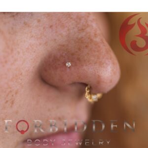 Forbidden Body Jewelry 14k White Gold Nose Ring, 20g, Solid 6mm Stud, 2mm CZ Simulated Diamond, Non-Irritating Skin Safe Real Gold, Women and Men