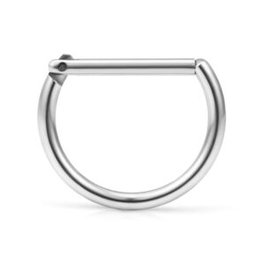 Ruifan 1PC 316L Stainless Steel D Shaped Hinged Seamless Segment Hoop Septum Clicker Ring Lip Helix Tragus Cartilage Earrings Nose Rings Pirecing 16g 10mm - Silver