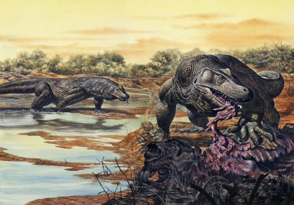 Posterazzi Megalania eating his prey Pleistocene Epoch Australia Poster Print, (34 x 23)