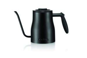 bodum bistro gooseneck stovetop water kettle 34 ounce