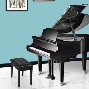 Haicool TOYEEKA Black 29'' Solid Wood PU Leather Double Duet Piano Stool Keyboard Bench with Storage， Load 440lb