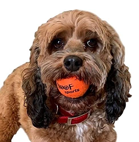 Woof Sports small TENNIS BALLS for Dogs (1.9") - 12 Orange Durable and Easy to Find Mini Tennis Balls for Small Dogs and Puppies. includes Carrying Bag.