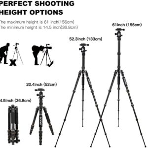 ZOMEi Camera Tripod 62" Light Weight DSLR Tripod with Ball Head Quick Release Plate and Carrying Case (Aluminum Tripod)