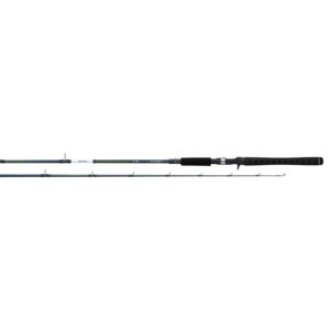 daiwa, rg walleye freshwater casting rod, 7'6" length, tel, 15-30 lb line rate, 3/8-2 oz lure rate, x-heavy power (rg76txhfb),black