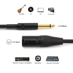 NANYI 6.35mm (1/4 Inch) TS Male to XLR Male Interconnect Audio Microphone Cable, Black/Alloy, Suitable for Microphones, Active Speakers, Stage, DJ, Studio Audio Console, 5M / 16FT