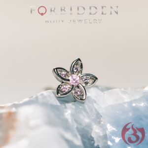 Forbidden Body Jewelry 16G Surgical Steel Stud Earrings Helix Tragus Cartilage Earrings CZ Flower Top- 8mm/Clear