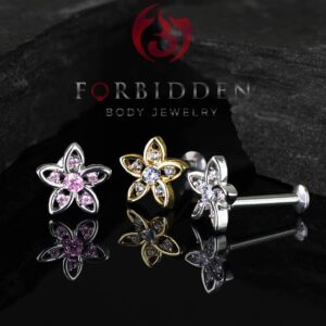 Forbidden Body Jewelry 16G Surgical Steel Stud Earrings Helix Tragus Cartilage Earrings CZ Flower Top- 8mm/Clear