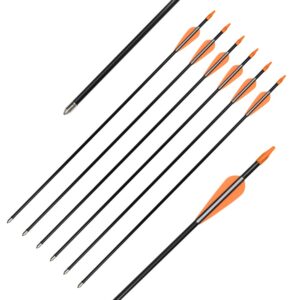 elong fiberglass arrows archery 26 inch target shooting practice safetyglass recurve bows suitable for youth children woman beginner (6 pcs)