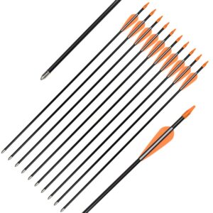 ELONG Fiberglass Arrows Archery 26 Inch Target Shooting Practice Safetyglass Recurve Bows Suitable for Youth Children Woman Beginner (6 pcs)