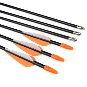 ELONG Fiberglass Arrows Archery 26 Inch Target Shooting Practice Safetyglass Recurve Bows Suitable for Youth Children Woman Beginner (6 pcs)