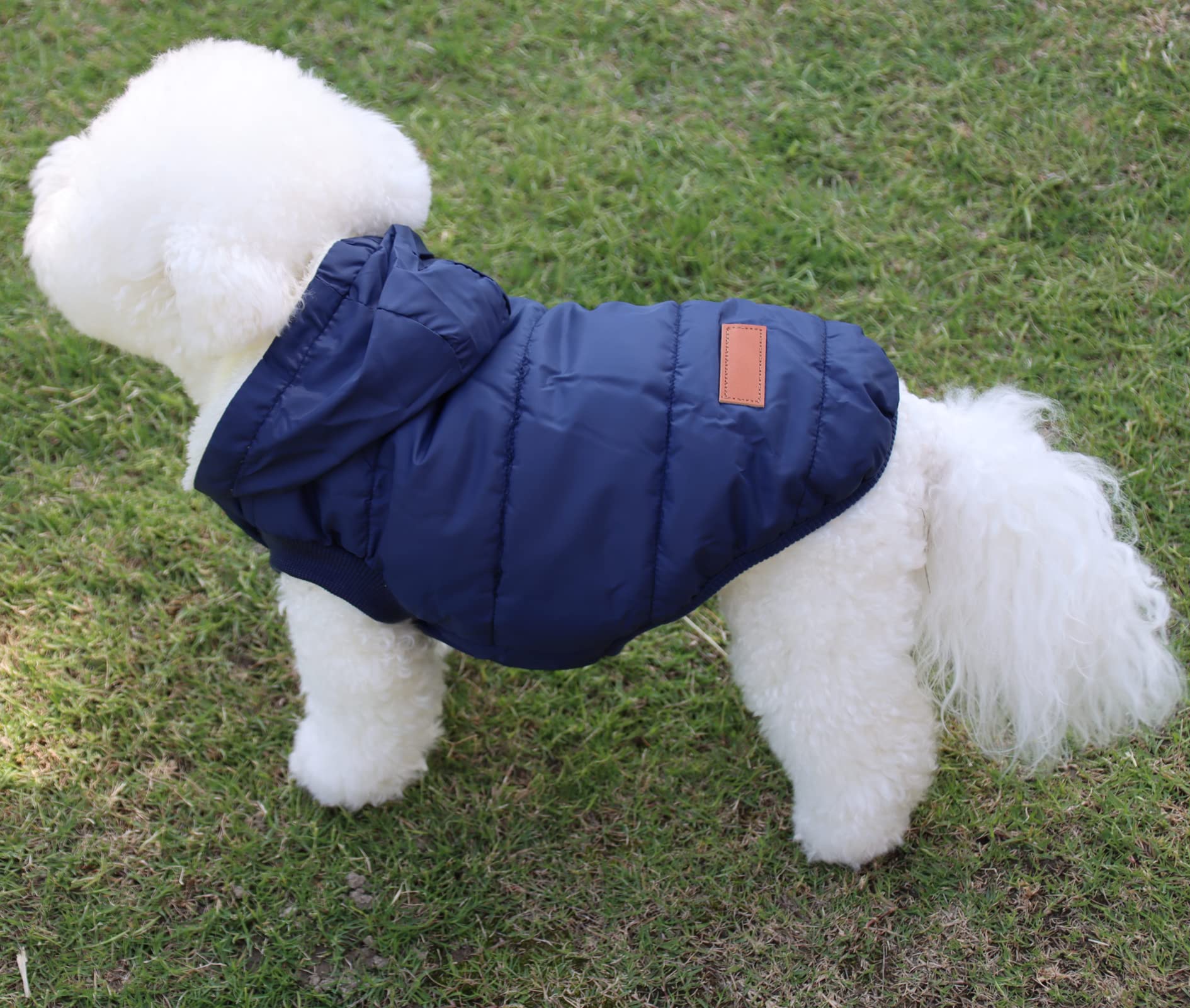 Vecomfy Fleece Lining Extra Warm Dog Hoodie in Winter for Medium Dogs Jacket Pet Coats with Hooded,Blue L